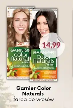 Astor Garnier Color Naturals oferta