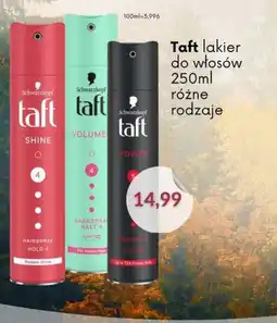 Astor Taft lakier do włosów oferta