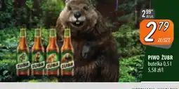 Społem Szczecin Piwo Zubr oferta