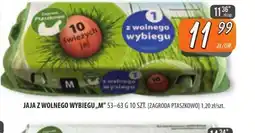 Społem Szczecin Jaja z wolnego wybiegu oferta