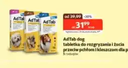 Kakadu AdTab dog oferta