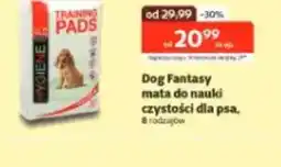 Kakadu Dog Fantasy oferta