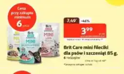 Kakadu Brit Care mini fileciki oferta