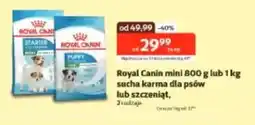 Kakadu Royal Canin mini oferta