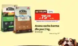 Kakadu Acana sucha karma oferta