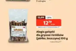 Kakadu Alegia gałązki oferta