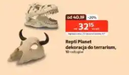 Kakadu Repti Planet oferta