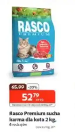 Kakadu Rasco Premium sucha karma dla kota oferta