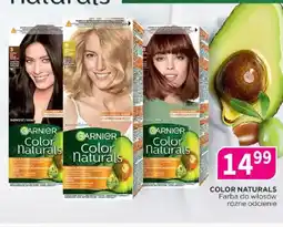 Drogerie Polskie Farba do włosów Color Naturals oferta