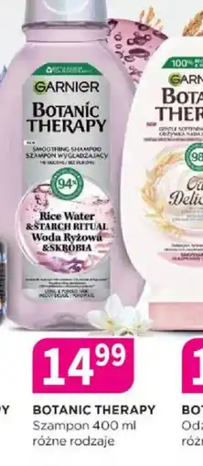 Drogerie Polskie Szampon Botanic Therapy oferta