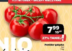 Netto Pomidor gałązka Netto oferta