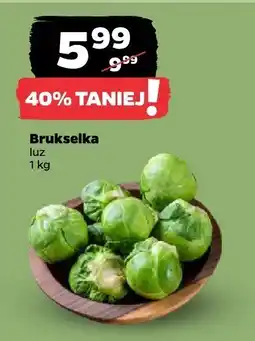 Netto Brukselka Netto oferta