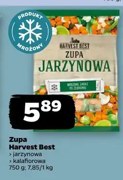 Netto Zupa kalafiorowa Harvest Best oferta