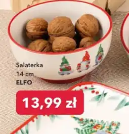 Nela Salaterka oferta