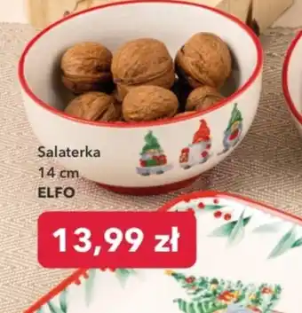 Nela Salaterka oferta