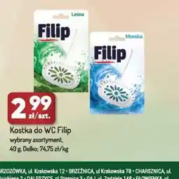 Avita Kostka do WC Filip oferta