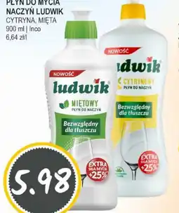 Słoneczko PLYN DO MYCIA NACZYN LUDWIK oferta