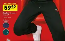 Biedronka Spodnie dresowe męskie oferta