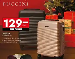 Biedronka Walizka kabinowa 55 x 36 20 cm Puccini oferta