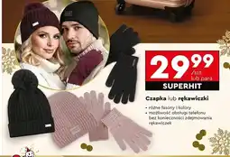 Biedronka Rękawiczki męskie Puccini oferta