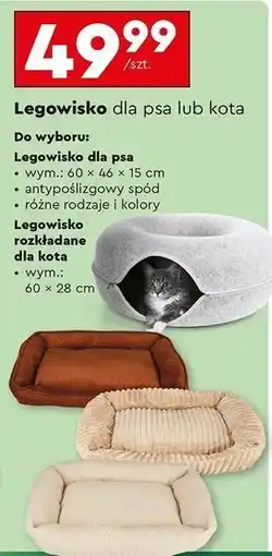 Biedronka Legowisko rozkładane dla kota Activ Pet oferta
