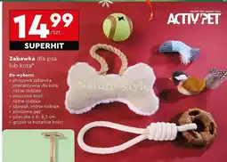 Biedronka Zabawka pluszowa dla kota Activ Pet oferta
