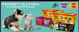 Biedronka Karma dla kota mix smaków w galaretce Whiskas oferta