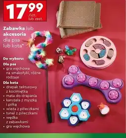 Biedronka Gra węchowa dla kota Activ Pet oferta