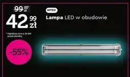Biedronka Lampa led w obudowie Niteo Tools oferta