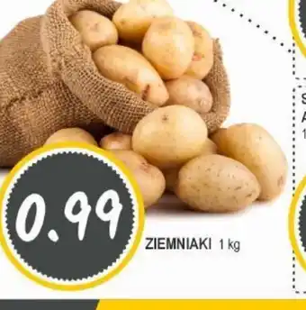 Słoneczko ZIEMNIAKI oferta