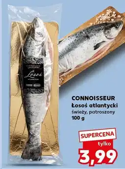 Kaufland Łosoś atlantycki świeży, patroszony Connoisseur oferta