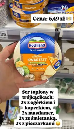 Dino Ser kremowy topiony Kwartett Hochland oferta