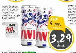 Słoneczko PIWO ZYWIEC oferta