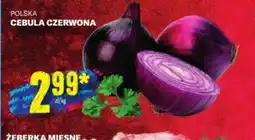 TomiMarkt Cebula Czerwona oferta
