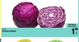 TomiMarkt Kapusta Czerwona oferta