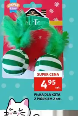 Auchan PILKA DLA KOTA oferta