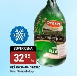 bi1 Gęś Drosed oferta