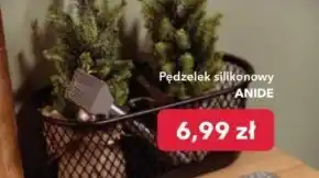 Nela Pędzelek Anide oferta