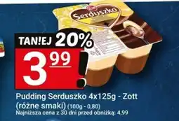 Hitpol Pudding Zott oferta