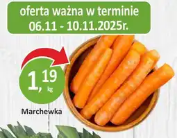 Passa Marchewka oferta