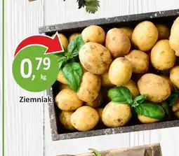 Passa Ziemniak oferta