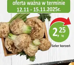 Passa Seler korzeń oferta