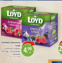 Passa Herbata owocowa Loyd oferta