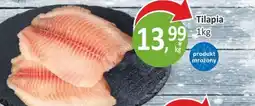 Passa Tilapia oferta