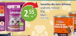 Passa Saszetka dla kota Whiskas oferta