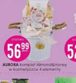 Jaśmin AURORA oferta