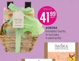 Jaśmin AURORA oferta
