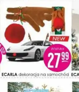 Jaśmin Dekoracja na samochód oferta