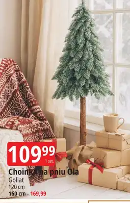 E.Leclerc Choinka sztuczna ola 160 cm Goliat oferta