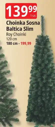 E.Leclerc Choinka sosna baltica slim 180 cm Roy oferta